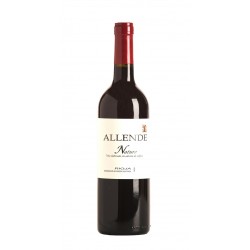 Allende Nature